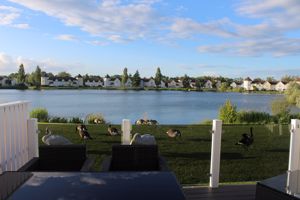 Dusk - birds grazing- click for photo gallery